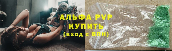 сатива Баксан