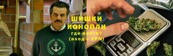 сатива Баксан