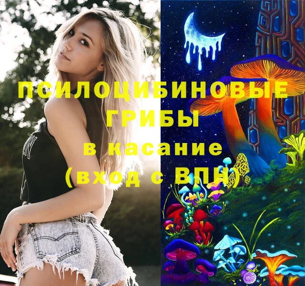 сатива Баксан