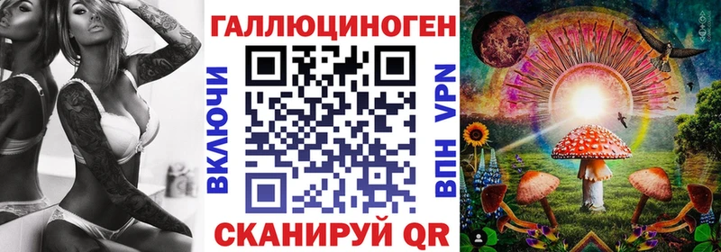 Купить где  Аткарск  Галлюциногенные грибы Psilocybe 